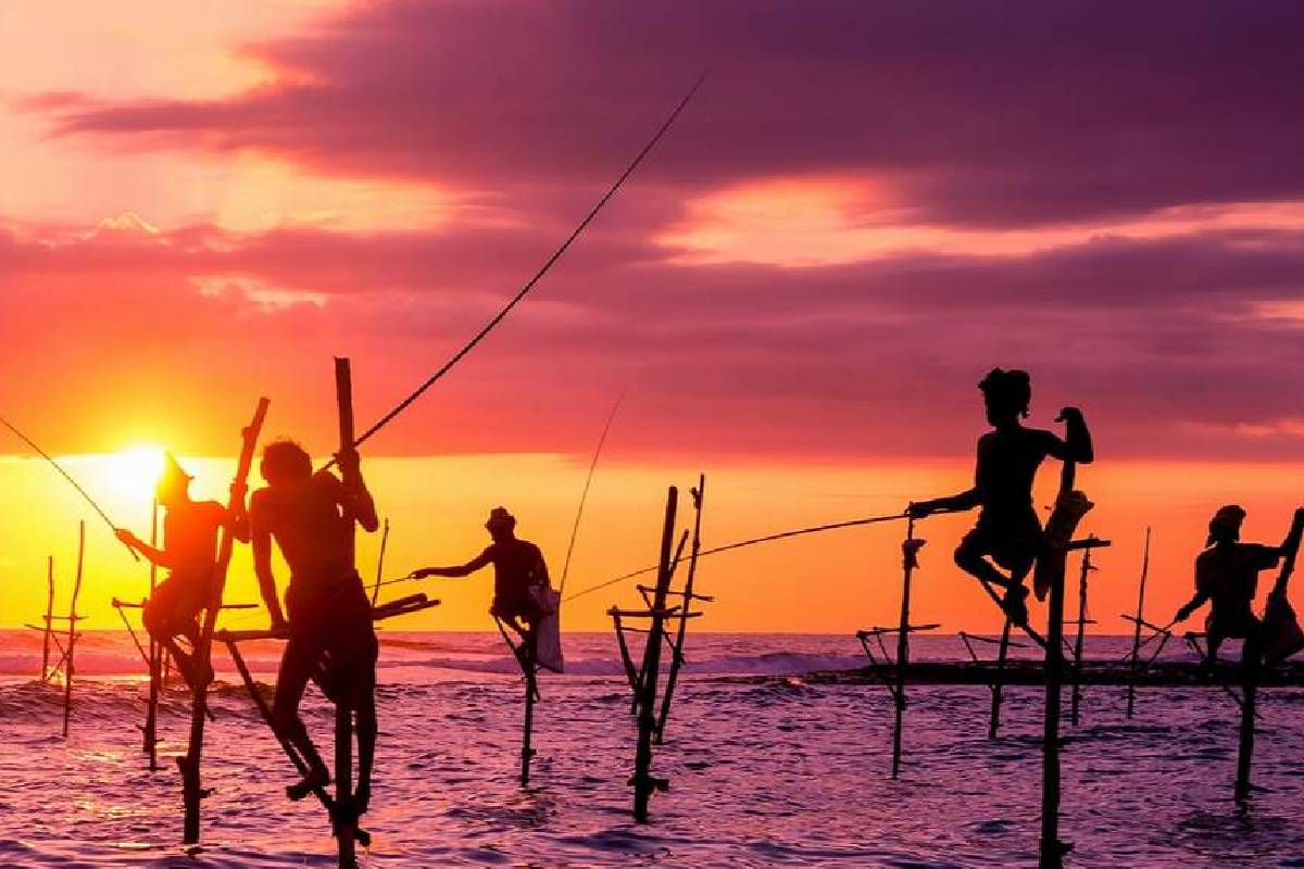 தேர்தல் வைத்தால் பலத்த அடி விழும் - அநுரவுக்கு நாமல் எச்சரிக்கை | Namal Warns Govt Elections Will Hit Hard