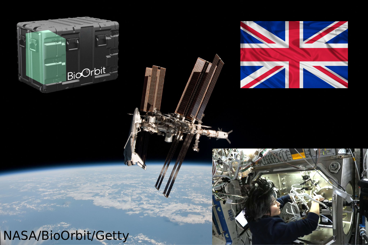 UK space pharma manufacturing, Space drug development UK, Microgravity medicine innovation, BioOrbit cancer drug space, UK Space Agency pharma roadmap, MHRA space drug regulation #SpaceMedicine #UKInnovation #PharmaInSpace #MicrogravityResearch #BioOrbit #UKSpaceAgency #HealthcareFuture