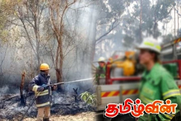 இரத்தினபுரி வனப்பகுதியில் தீ விபத்து