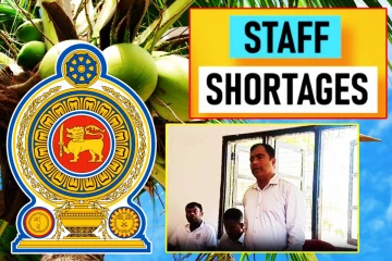 வடக்கில் தெங்கு உற்பத்தி திணைக்களத்தில் ஆளனி பற்றாகுறை!