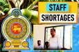 வடக்கில் தெங்கு உற்பத்தி திணைக்களத்தில் ஆளனி பற்றாகுறை!
