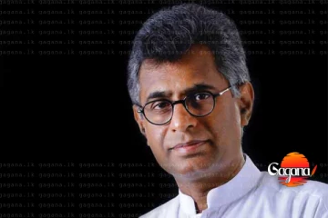 දිනකට විදුලිය ගිගාවොට් පැය දෙකක් රටට අහිමි වෙලා - පාඨලීගෙන් සැර කතාවක්