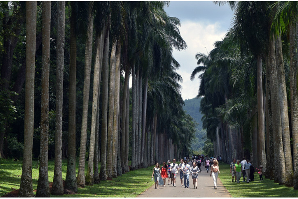 ஜூலை முதலாம் திகதி முதல் அதிகரிக்கவுள்ள கட்டணம் | Fee Will Increase From 1St July Botanical Garden
