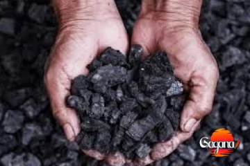 බාල ගල්අඟුරු ආනයන ආන්දෝලනය: මහජන උපයෝගිතා කොමිසම පරීක්ෂණයක් ආරම්භ කරයි