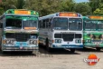 දුම්රිය ස්ථාන දෙකක් අතර විශේෂ බස් රථ සේවාවක්