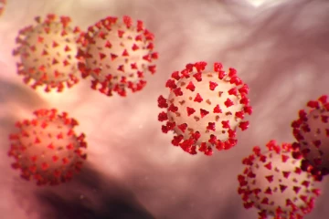 மக்களே கொரோனா இன்னும்  அழியவில்லை : அடுத்த திரிபு எப்படி இருக்கும் தெரியுமா ?  எச்சரிக்கும் who