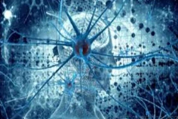 மனித மூளையில் கண்டுபிடிக்கப்பட்ட 57000 செல்கள்... விஞ்ஞானிகள் அசத்தல்!