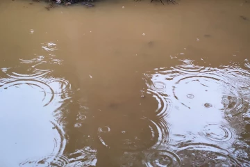 தம்பலகாமத்தில் கனமழையால் வீடுகளுக்குள் நீர்