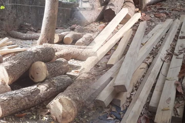 யாழில் சட்டவிரோத மரக்குற்றிகளை வைத்திருந்த இருவர் கைது