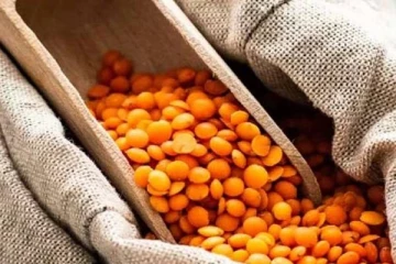 கனடா- இந்தியா மோதல் போக்கு... மசூர் பருப்பு பற்றாக்குறை? வெளிவரும் விரிவான பின்னணி