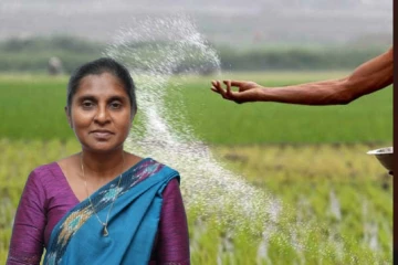 அச்சம் வேண்டாம் : விவசாயிகளுக்கு வெளியான நல்ல செய்தி