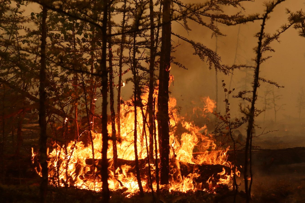 அமெரிக்கா மற்றும் ரஷ்யாவை கருக்கியெரிக்கும் தீ! | Fire That Engulfs The United States And Russia அமெரிக்கா மற்றும் ரஷ்யாவை கருக்கியெரிக்கும் தீ! | Fire That Engulfs The United States And Russia