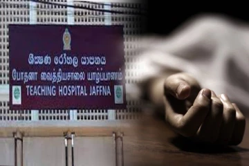 யாழில் முரல் மீன் தாக்கி கடற்றொழிலாளர் உயிரிழப்பு