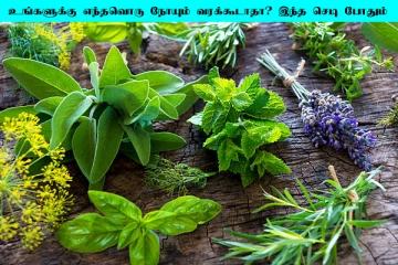 உங்களை ஒரு நோய் கூட அண்டக்கூடாதா? இந்த 5 மூலிகை செடி வீட்டில் அவசியம் இருக்கனும்