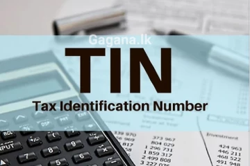 ඔබත් තවම TIN අංකය ගත්තේ නැද්ද... එහෙනම් වෙන දේ මෙන්න.. අනිවාර්යයෙන්ම බලන්න