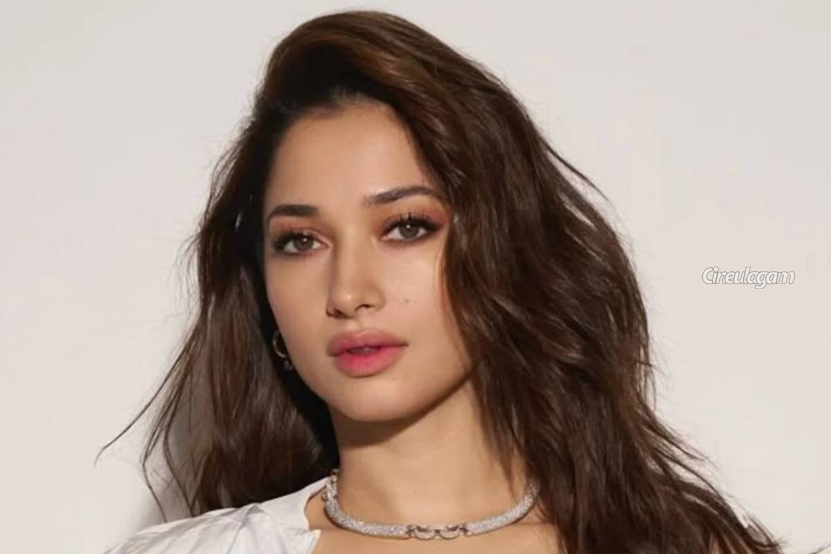 Item Song என்று சொல்லாதீர்கள், அது... வருத்தமாக பேசிய தமன்னா | Actress Tamannaah About Item Song