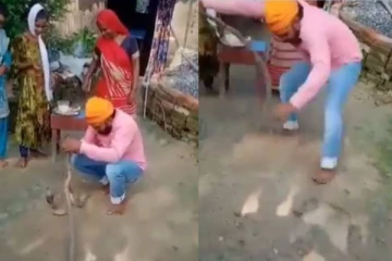 இரண்டு ஜோடி விஷப்பாம்புகளுக்கு ராக்கி கயிறு கட்டிய பாம்புபிடிப்பதில் வல்லவர்! அடுத்து நடந்த விபரீத சம்பவத்தின் வீடியோ