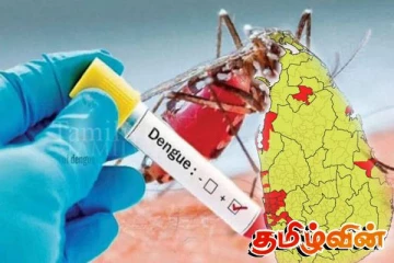நாட்டில் ஐந்து டெங்கு மரணங்கள் பதிவு