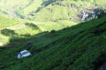 கட்டுப்பாட்டை இழந்து 100 அடி பள்ளத்தில் பாய்ந்த கார்; நேர்ந்த துயரம்