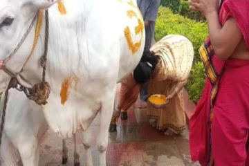 48 சீர்வரிசைகளுடன் பசுவிற்கு நடந்த வளைகாப்பு! நெகிழ வைத்த கிராம மக்கள்