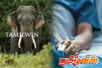 கொக்குத்தொடுவாயில் யானை துரத்தியதில் மூவர் காயம்