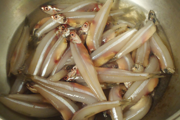 நெத்திலி மீன் பொரியல் சுடச் சுட செய்து ருசியுங்கள்! | Nethili Meen Poriyal