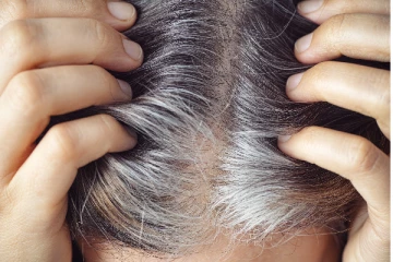 நரை முடி விரைவில் தோன்றாமல் இருக்க வேண்டுமா? இந்த எண்ணெய் 3 வாரம் பயன்படுத்தினாலே போதும்