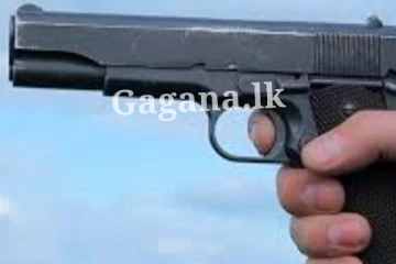 රාජ්‍ය නිළධාරින් පිරිසකට පිස්තෝල.