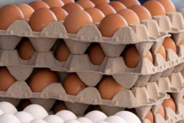 දේශීය බිත්තර මිල අඩු කරන්න පුළුවන් - කුකුළු ව්‍යාපාරිකයින්