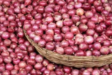 சின்ன வெங்காயத்தின் விலையில் வீழ்ச்சி