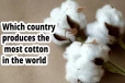 தேவையில் கூடுதலான பருத்தி - உலகிலேயே அதிகமாக உற்பத்தி செய்யும் நாடு எது?