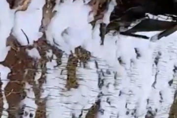 நுவரெலியாவில் பல பகுதிகளில் ஒரே நேரத்தில் காட்சியளித்த வெள்ளை நுரை!