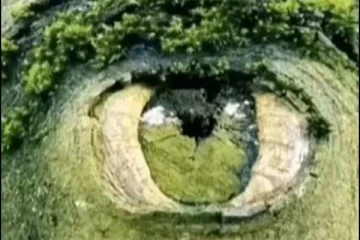 உங்கள பத்தின ஒரு சுவாரஸ்ய குணத்தை கண்டுபிடிக்க ஒரு Test- படத்தில் தெரிவது என்ன?