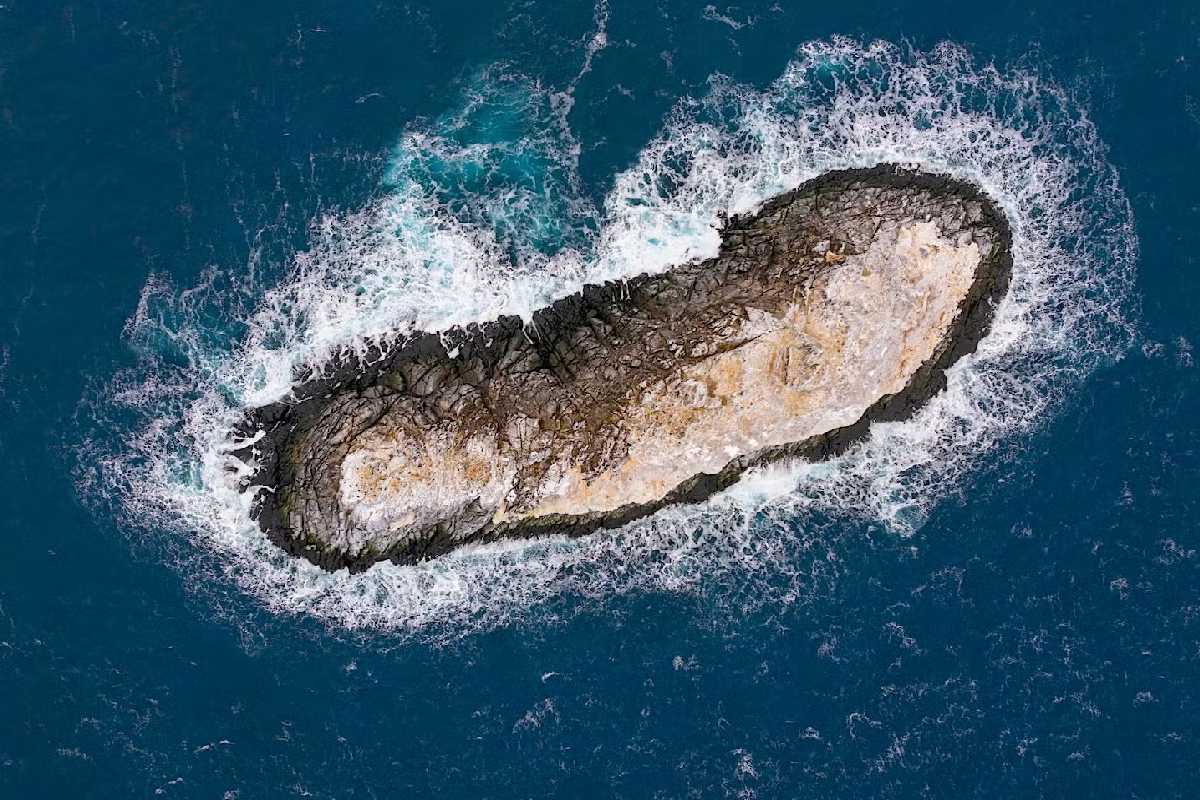 அந்தாண்டிக்காவில் பெயரிடப்படாத புதிய தீவு கண்டுபிடிப்பு! | New Unnamed Island Discovered In Antarctica