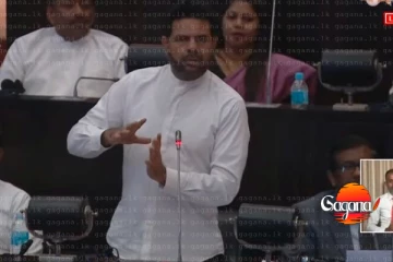 ඇමතිලා මේ වගේ කැත කතා කියන්න එපා අන්තිම නින්දිතයි - සජිත්ගේ නංගි නිසා නාමලුයි අජිතුයි පැටලෙයි