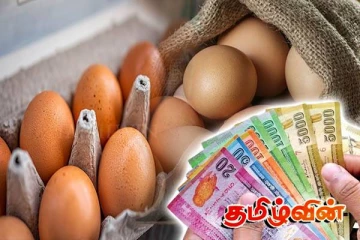 முட்டையின் விலை அதிகரிப்பு! வெளியான தகவல்