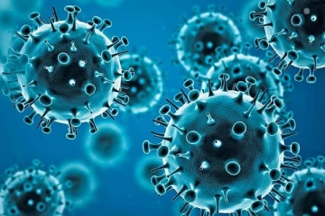 தமிழகத்தை மிரட்டும் கொரோனா - சென்னையில் அதிகரிக்கும் பாதிப்பால் மக்கள் பீதி