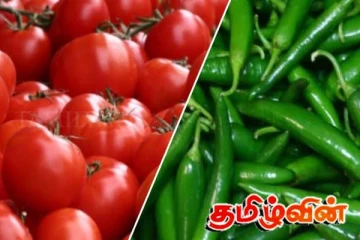 இலங்கை மக்களுக்கு அதிர்ச்சி கொடுக்கும் பச்சை மிளகாயின் விலை