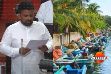 වාරි කර්මාන්තය නගා සිටුවීමට මිලියන 91700ක්