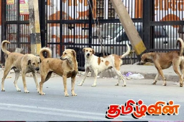 யாழ்.மக்களுக்கு வெளியான முக்கிய அறிவிப்பு! கிடைக்கவுள்ள சன்மானம்