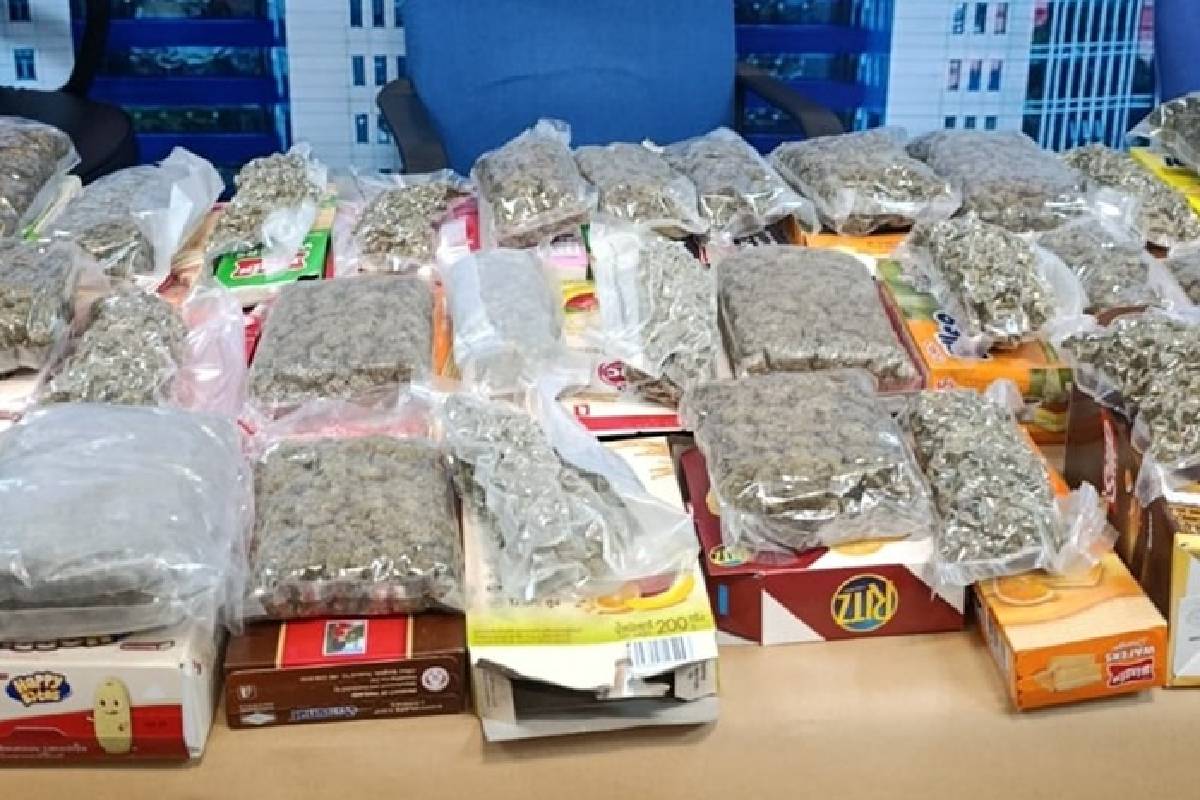வெளிநாட்டிலிருந்து வந்திறங்கிய இளைஞன் கட்டுநாயக்காவில் கைது | 24 Year Old Arrested Kush Brought From Bangkok