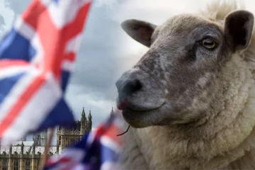 பிரித்தானியாவில் பரவும் புதிய வகையான வைரஸ்