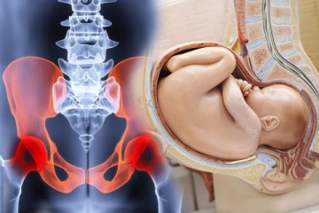 දරු ප්‍රසූතියට ශ්‍රෝණිය නිර්මාණය වෙන්නේ මෙහෙමයි.