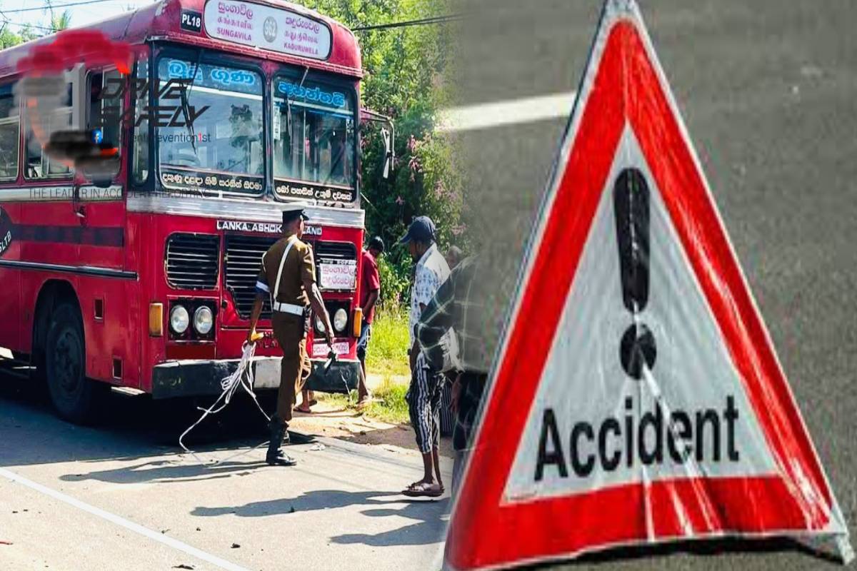 பொலன்னறுவை பகுதியில் நடந்த கோர விபத்து: பரிதாபமாக உயிரிழந்த இளைஞர் | Fatal Accident In Polonnaruwa Area