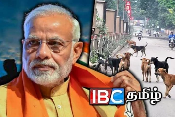 மோடியின் இலங்கை வருகை : தெரு நாய்களுக்கு ஏற்பட்ட நிலை