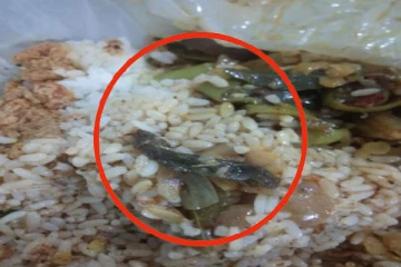 நோயாளிக்கு வழங்கப்பட்ட உணவில் இறந்து கிடந்த‘ பல்லி’