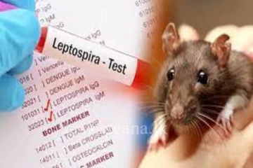 ඉතා සීඝ්‍රයෙන් ඉහළ යන උතුර කළබවන වසංගතය...දින තුනක් ඇතුලත මෙහෙම වර්ධනයක්..