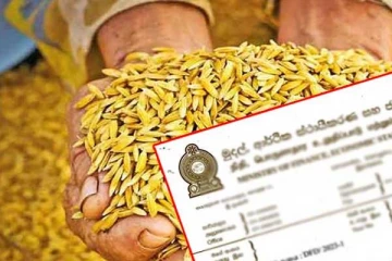 நெல் கொள்வனவு செய்ய தனியாருக்கு அனுமதி : இரணைமடு கமக்காரர் அமைப்புக்களின் சம்மேளனம் அதிருப்தி