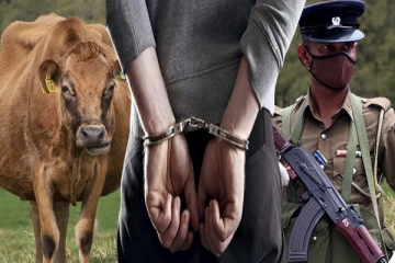 யாழில் மாட்டை கொலை செய்த காவல்துறை உத்தியோகஸ்தர்! தாயார் கைது