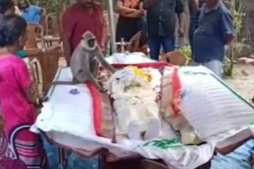 உயிரிழந்த நபருக்காக கண்ணீர் சிந்திய குரங்கு! இலங்கையில் மனதை உருகவைத்த சம்பவம்